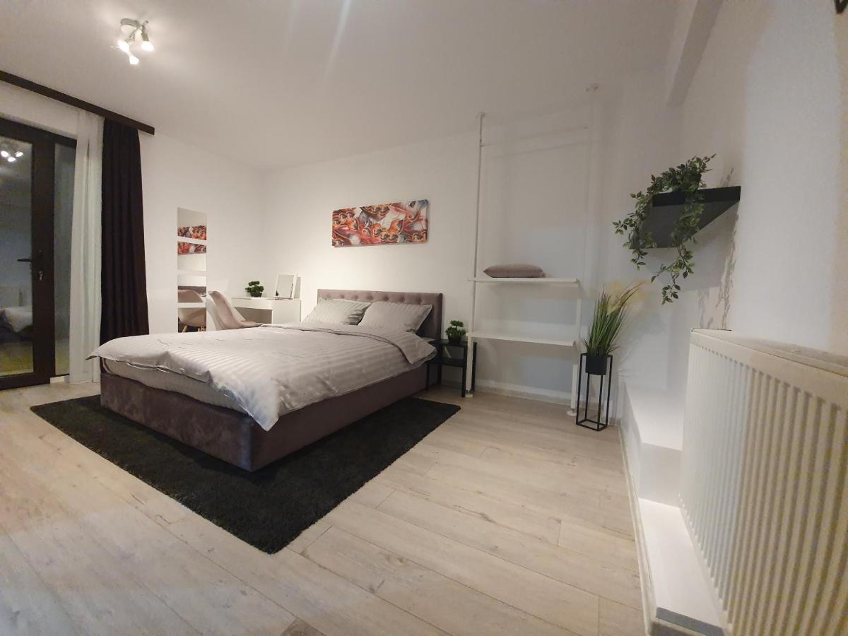 Pensiunea Relax Curtea de Argeş 外观 照片