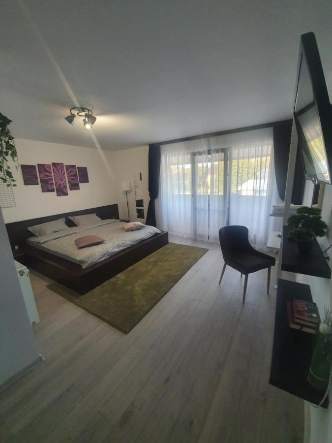 Pensiunea Relax Curtea de Argeş 外观 照片
