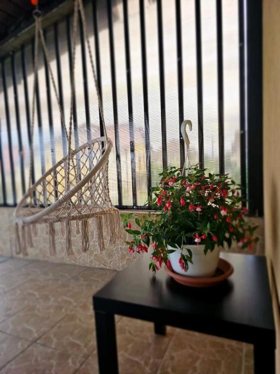 Pensiunea Relax Curtea de Argeş 外观 照片