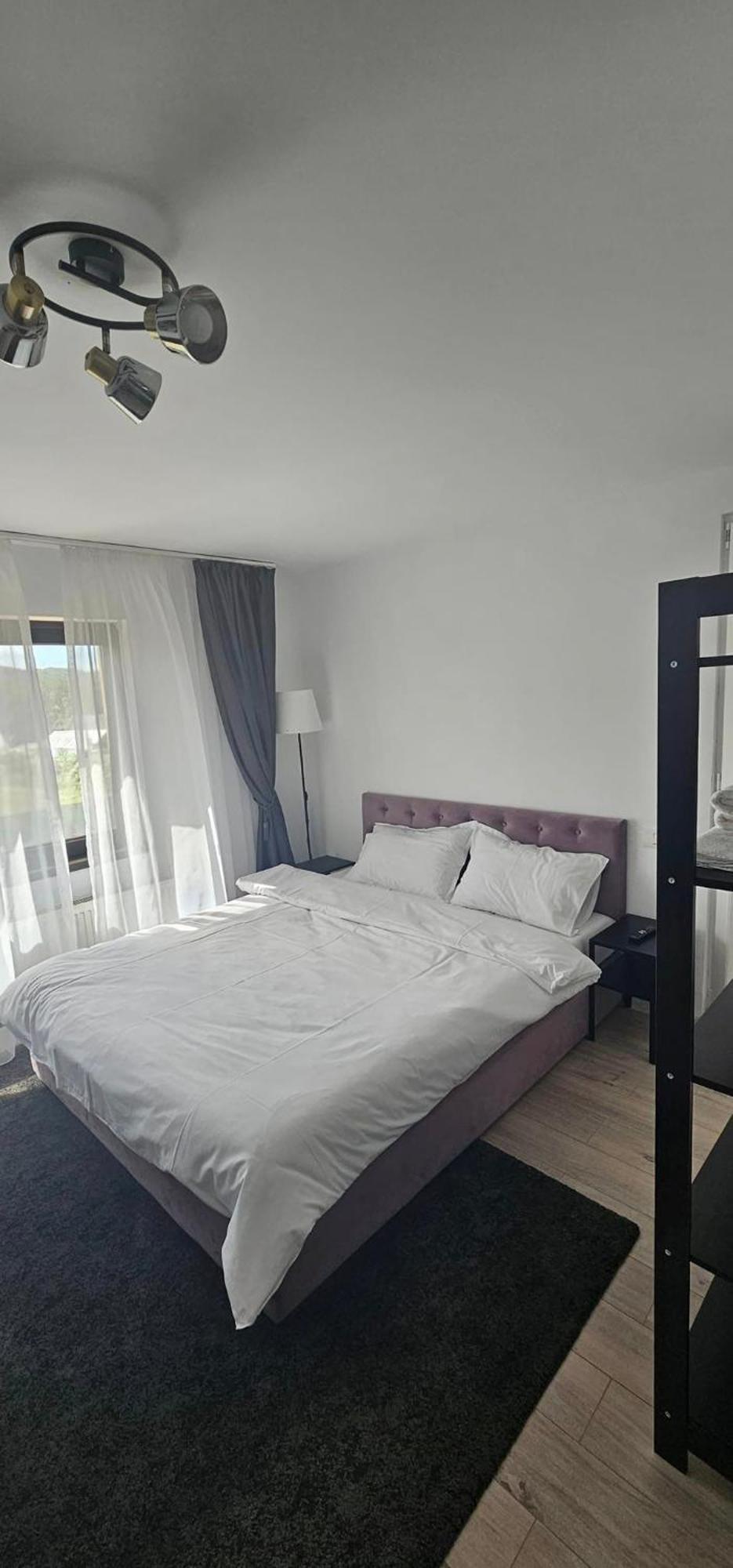 Pensiunea Relax Curtea de Argeş 外观 照片
